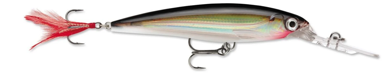 Rapala X-Rap Deep 10 Deep Diving Jerkbait 8 Rapala X-Rap Deep 10 Deep Diving Jerkbait - Image 6