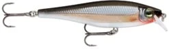 Rapala Balsa Xtreme BX Minnow 10 Medium Diving Jerkbait -Famous Fishing Store 12582631931959