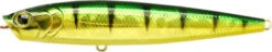 Lucky Craft Gunfish 115 Topwater Walker/Popper -Famous Fishing Store 12603014250551