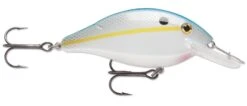 Luhr-Jensen Speed Trap Medium Diving Crankbait -Famous Fishing Store 12603279867959