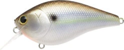 Lucky Craft LC 2.5 Shallow Squarebill Crankbait -Famous Fishing Store 12607085903927