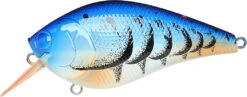 Lucky Craft LC 2.5 Shallow Squarebill Crankbait -Famous Fishing Store 12607085969463