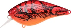 Lucky Craft LC 2.5 Shallow Squarebill Crankbait -Famous Fishing Store 12607086100535