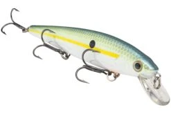 Strike King KVD 300 Series 4 3/4 Inch Suspending Medium Jerkbait