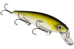 Strike King KVD 300 Series 4 3/4 Inch Suspending Medium Jerkbait 24 Strike King KVD 300 Series 4 3/4 Inch Suspending Medium Jerkbait -Famous Fishing Store 12699197145143