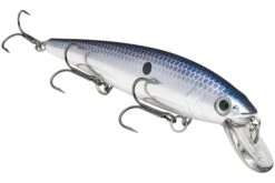 Strike King KVD 300 Series 4 3/4 Inch Suspending Medium Jerkbait 25 Strike King KVD 300 Series 4 3/4 Inch Suspending Medium Jerkbait -Famous Fishing Store 12699197177911