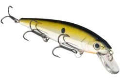 Strike King KVD 300 Series 4 3/4 Inch Suspending Medium Jerkbait 26 Strike King KVD 300 Series 4 3/4 Inch Suspending Medium Jerkbait -Famous Fishing Store 12699197210679