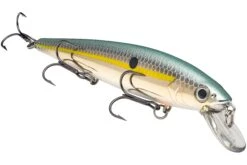 Strike King KVD 300 Series 4 3/4 Inch Suspending Medium Jerkbait 32 Strike King KVD 300 Series 4 3/4 Inch Suspending Medium Jerkbait -Famous Fishing Store 12699197407287