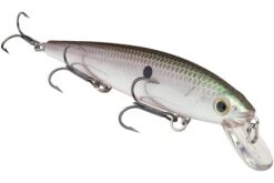 Strike King KVD 300 Series 4 3/4 Inch Suspending Medium Jerkbait 33 Strike King KVD 300 Series 4 3/4 Inch Suspending Medium Jerkbait -Famous Fishing Store 12699197440055