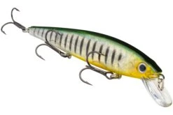 Strike King KVD 300 Series 4 3/4 Inch Suspending Medium Jerkbait 37 Strike King KVD 300 Series 4 3/4 Inch Suspending Medium Jerkbait -Famous Fishing Store 12699197571127