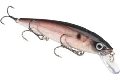 Strike King KVD 300 Series 4 3/4 Inch Suspending Medium Jerkbait 38 Strike King KVD 300 Series 4 3/4 Inch Suspending Medium Jerkbait -Famous Fishing Store 12699197603895