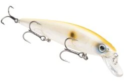 Strike King KVD 300 Series 4 3/4 Inch Suspending Medium Jerkbait 40 Strike King KVD 300 Series 4 3/4 Inch Suspending Medium Jerkbait -Famous Fishing Store 12699197669431