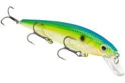 Strike King KVD 300 Series 4 3/4 Inch Suspending Medium Jerkbait 41 Strike King KVD 300 Series 4 3/4 Inch Suspending Medium Jerkbait -Famous Fishing Store 12699197702199