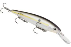 Strike King KVD 300D Series 4 1/2 Inch Deep Diving Jerkbait -Famous Fishing Store 12699232141367