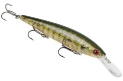 Strike King KVD 300D Series 4 1/2 Inch Deep Diving Jerkbait -Famous Fishing Store 12699232174135