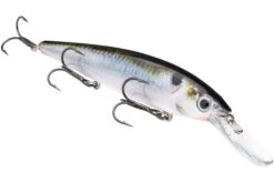 Strike King KVD 300D Series 4 1/2 Inch Deep Diving Jerkbait -Famous Fishing Store 12699232206903