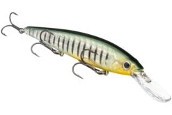 Strike King KVD 300D Series 4 1/2 Inch Deep Diving Jerkbait -Famous Fishing Store 12699232272439