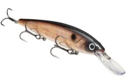 Strike King KVD 300D Series 4 1/2 Inch Deep Diving Jerkbait -Famous Fishing Store 12699232305207