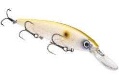 Strike King KVD 300D Series 4 1/2 Inch Deep Diving Jerkbait -Famous Fishing Store 12699232370743