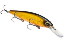 Strike King KVD 300D Series 4 1/2 Inch Deep Diving Jerkbait -Famous Fishing Store 12699232501815