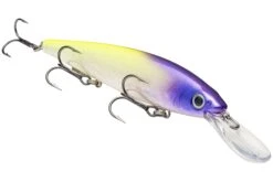 Strike King KVD 300D Series 4 1/2 Inch Deep Diving Jerkbait -Famous Fishing Store 12699232632887