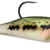 Storm WildEye Swim Shad Paddle Tail Swimbait 3 Pack -Famous Fishing Store 31310894760025