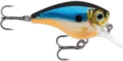 Rapala BX Big Brat 2 3/4 Inch Square Bill Crankbait -Famous Fishing Store 31321538363481