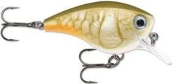 Rapala BX Big Brat 2 3/4 Inch Square Bill Crankbait -Famous Fishing Store 31321538396249