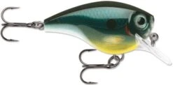 Rapala BX Big Brat 2 3/4 Inch Square Bill Crankbait -Famous Fishing Store 31321538429017