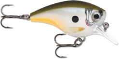 Rapala BX Big Brat 2 3/4 Inch Square Bill Crankbait -Famous Fishing Store 31321538461785