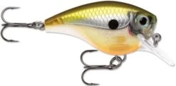 Rapala BX Big Brat 2 3/4 Inch Square Bill Crankbait -Famous Fishing Store 31321538560089
