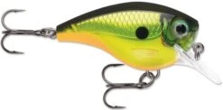 Rapala BX Big Brat 2 3/4 Inch Square Bill Crankbait -Famous Fishing Store 31321538592857