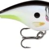 Rapala BX Big Brat 2 3/4 Inch Square Bill Crankbait 1 Rapala BX Big Brat 2 3/4 Inch Square Bill Crankbait -Famous Fishing Store 31321538625625