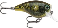 Rapala BX Big Brat 2 3/4 Inch Square Bill Crankbait -Famous Fishing Store 31321538658393