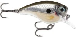Rapala BX Big Brat 2 3/4 Inch Square Bill Crankbait -Famous Fishing Store 31321538691161