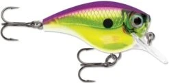 Rapala BX Big Brat 2 3/4 Inch Square Bill Crankbait -Famous Fishing Store 31321538723929