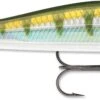 Rapala RipStop 09 Jerkbait 1 Rapala RipStop 09 Jerkbait -Famous Fishing Store 31325175873625