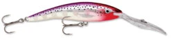 Rapala Deep Tail Dancer 09 Extra Deep Diving Crankbait 32 Rapala Deep Tail Dancer 09 Extra Deep Diving Crankbait -Famous Fishing Store 31356595568729