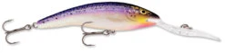 Rapala Deep Tail Dancer 09 Extra Deep Diving Crankbait 33 Rapala Deep Tail Dancer 09 Extra Deep Diving Crankbait -Famous Fishing Store 31356595601497