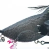 Chasebaits The Smuggler Topwater Crawler -Famous Fishing Store 31431054786649