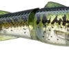 Chasebaits Drunken Mullet 95/130 Topwater Prop Lure -Famous Fishing Store 31431098630233
