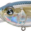 River2Sea Tactical DD 3 Inch Deep Diving Crankbait -Famous Fishing Store 32062339252313