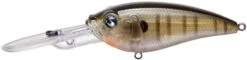 River2Sea Tactical DD 3 Inch Deep Diving Crankbait 23 River2Sea Tactical DD 3 Inch Deep Diving Crankbait -Famous Fishing Store 32062339285081