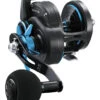 Daiwa Saltist Star Drag Conventional High Speed Reels 1 Daiwa Saltist Star Drag Conventional High Speed Reels -Famous Fishing Store 32117718810713