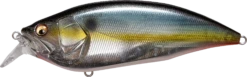 Megabass Big-M 2.0 Magnum Medium Diving Crankbait -Famous Fishing Store 32195137044569