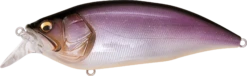 Megabass Big-M 2.0 Magnum Medium Diving Crankbait -Famous Fishing Store 32195137077337