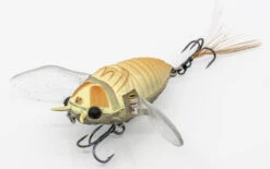 Chasebaits Ripple Cicada 1 3/4 Inch Wakebait Crawler -Famous Fishing Store 32233146843225