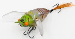 Chasebaits Ripple Cicada 1 3/4 Inch Wakebait Crawler -Famous Fishing Store 32233146875993
