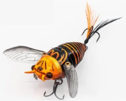 Chasebaits Ripple Cicada 1 3/4 Inch Wakebait Crawler -Famous Fishing Store 32233146908761
