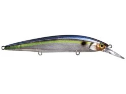 Jackall Rerange 110MR Jerkbait 21 Jackall Rerange 110MR Jerkbait -Famous Fishing Store 32263653490777